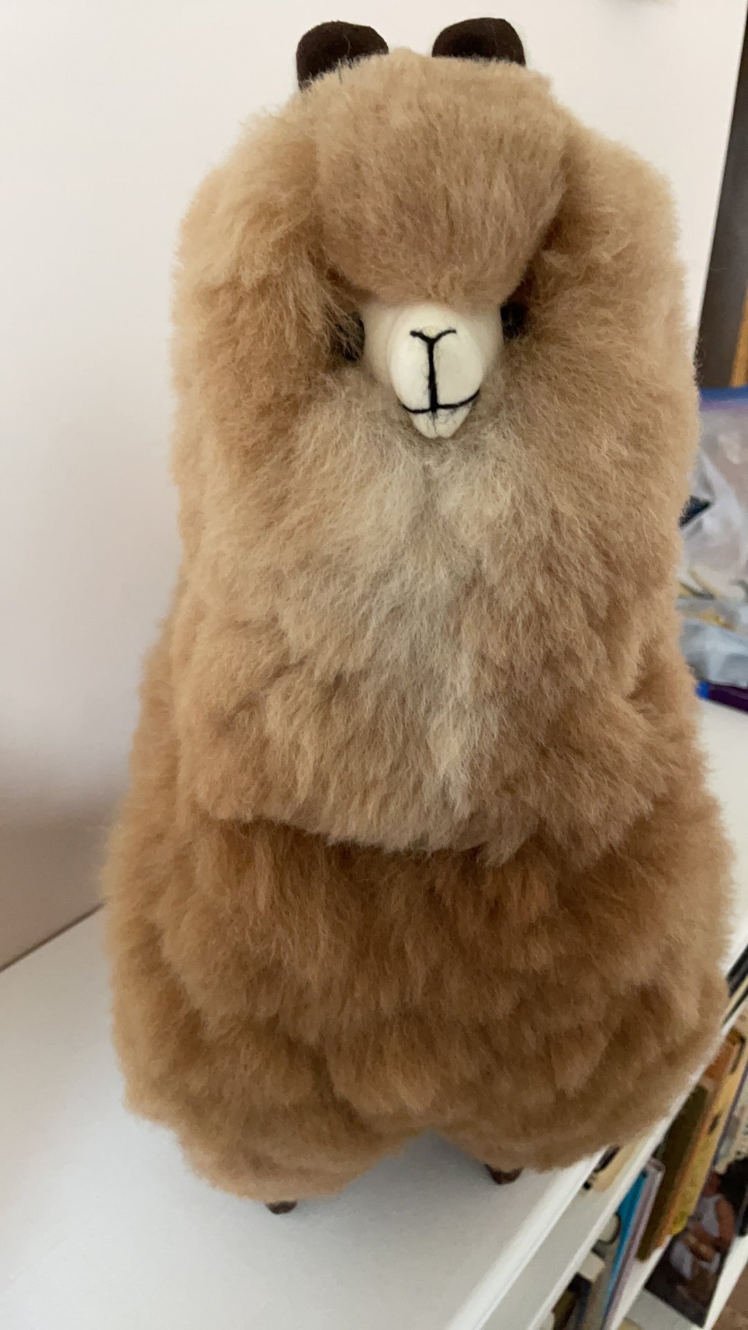 Standing Alpaca 18