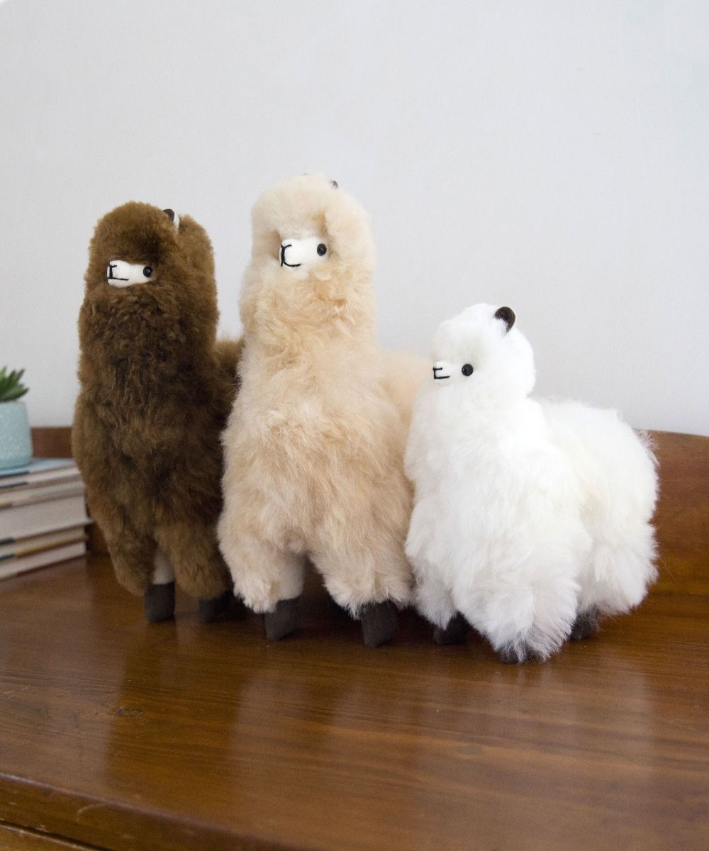 Standing Alpaca 9